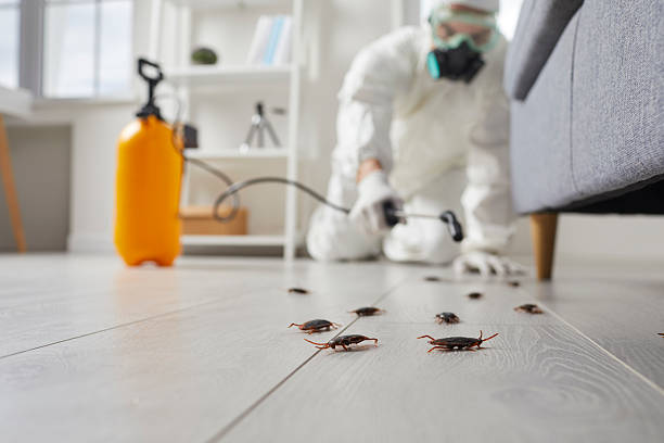 Trusted Termite Control service in West Pensacola, FL - Nex Pest Control